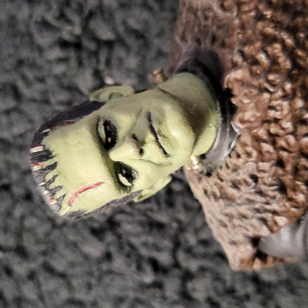 Son of Frankenstein Pro Built Vinyl Model kit Rare